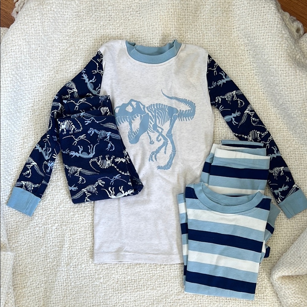 Dinosaur Pajama Set with Stripes NWOT